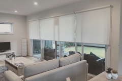 Torero-Translucent-White