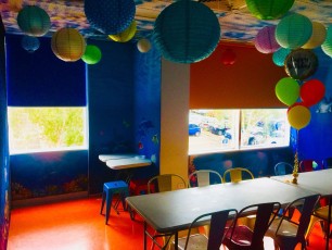 Bright Coloured Dawn Mini Childcare Roller Blinds