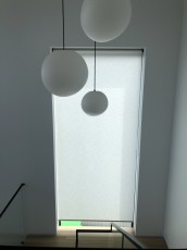 linesque-light-filter-lily